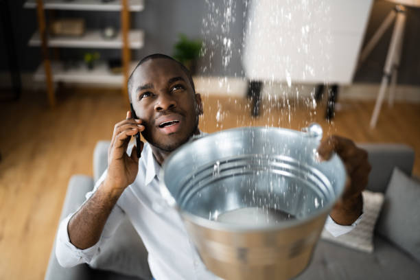 Best Ceiling water damage repair  in Woodland Park, CO