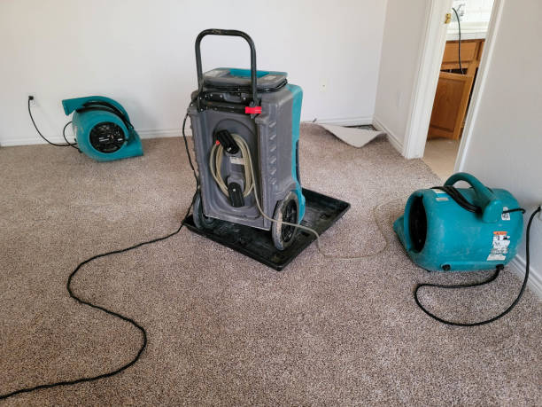 Best Sewage cleanup and water damage restoration  in Woodland Park, CO