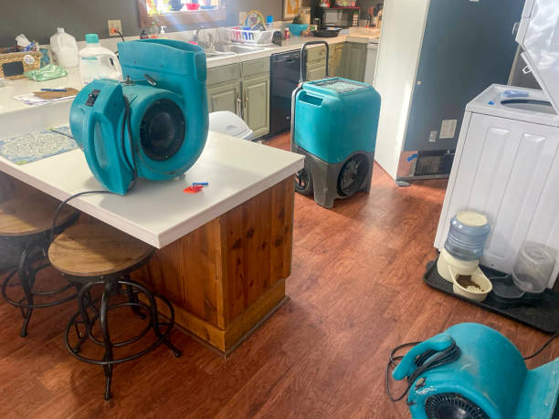 Best Water damage restoration near me  in Woodland Park, CO