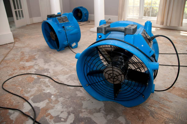 Best Basement water damage restoration  in Woodland Park, CO