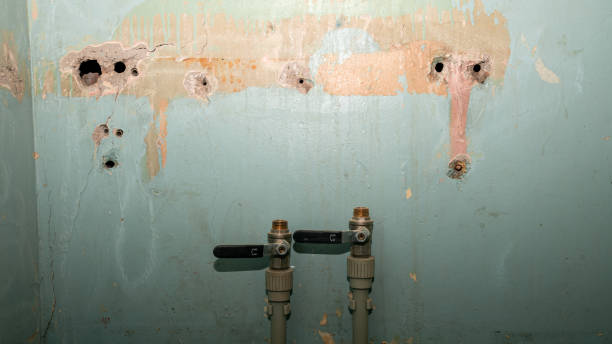 , CO Water damage restoration Company