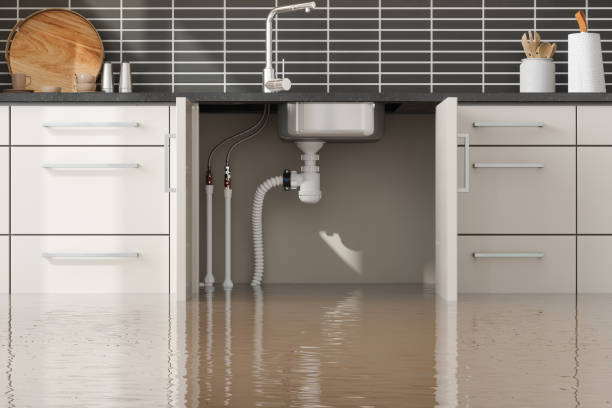 Best Mold removal after water damage  in Woodland Park, CO