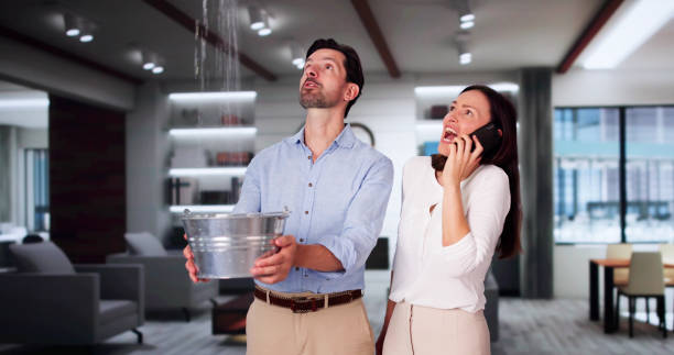 Best Flood damage cleanup  in Woodland Park, CO