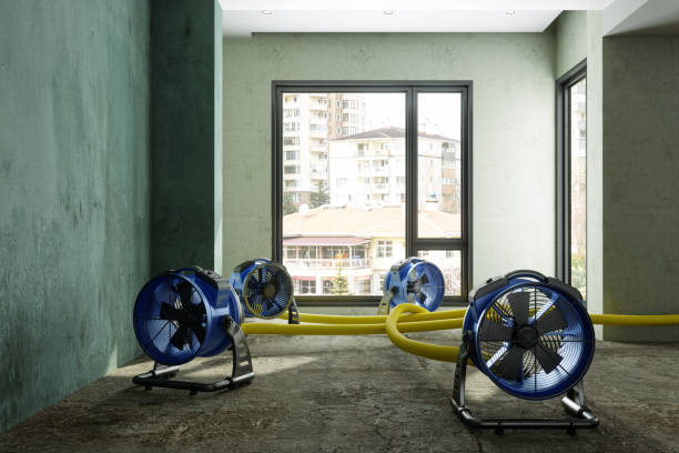 24/7 water damage repair in CO