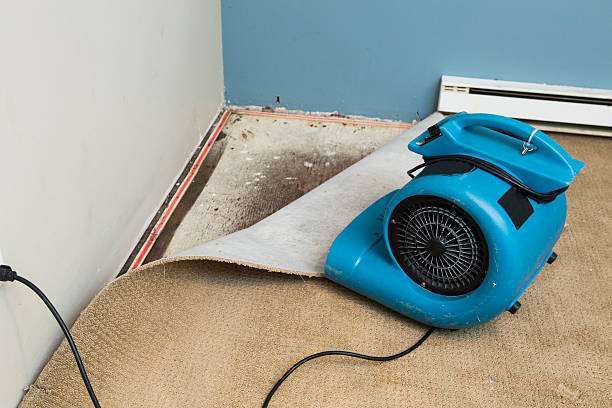 Best Carpet water damage restoration  in Woodland Park, CO